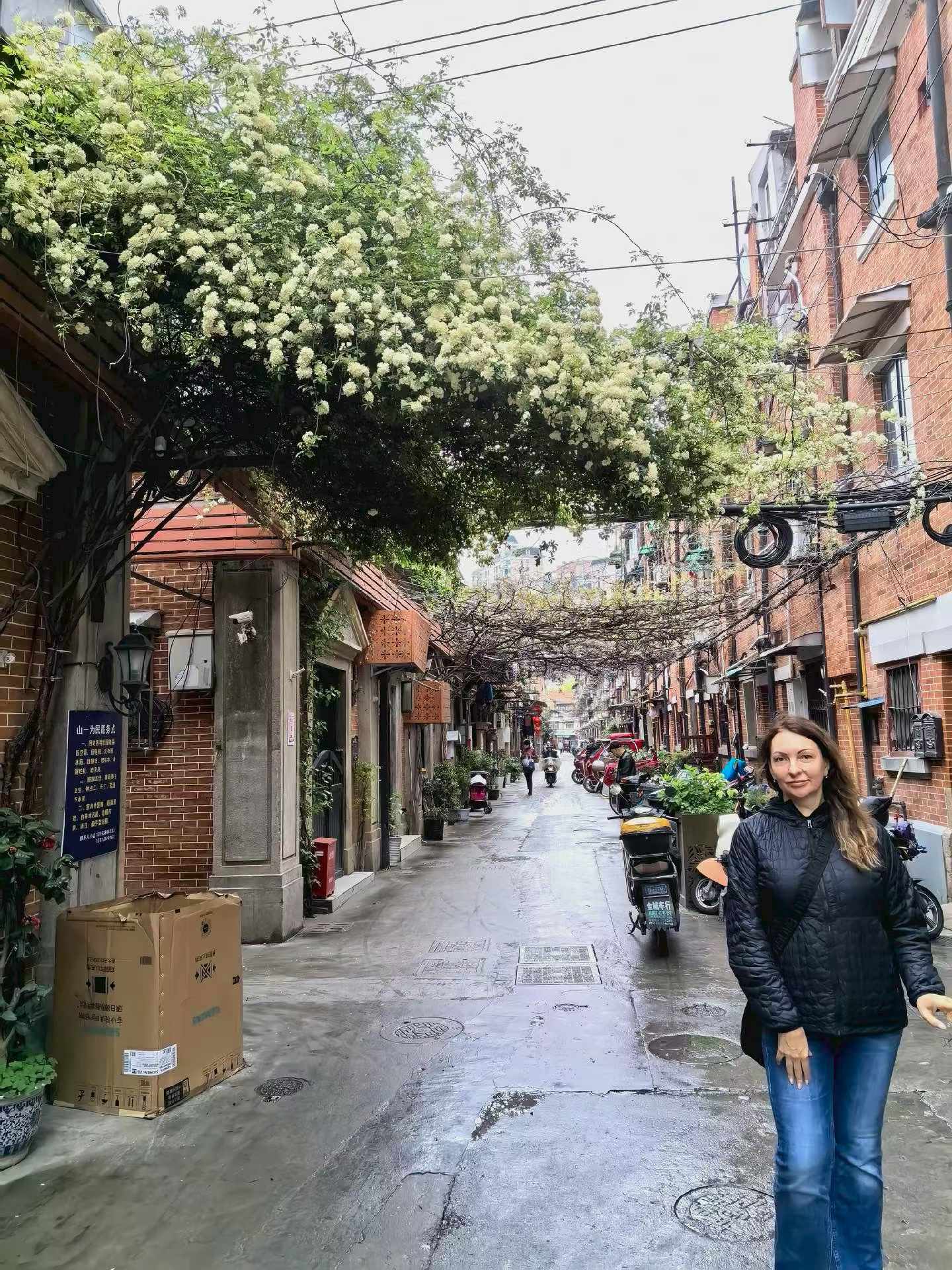 A visitor in a Shanghai residential lane beneath a flowering tree